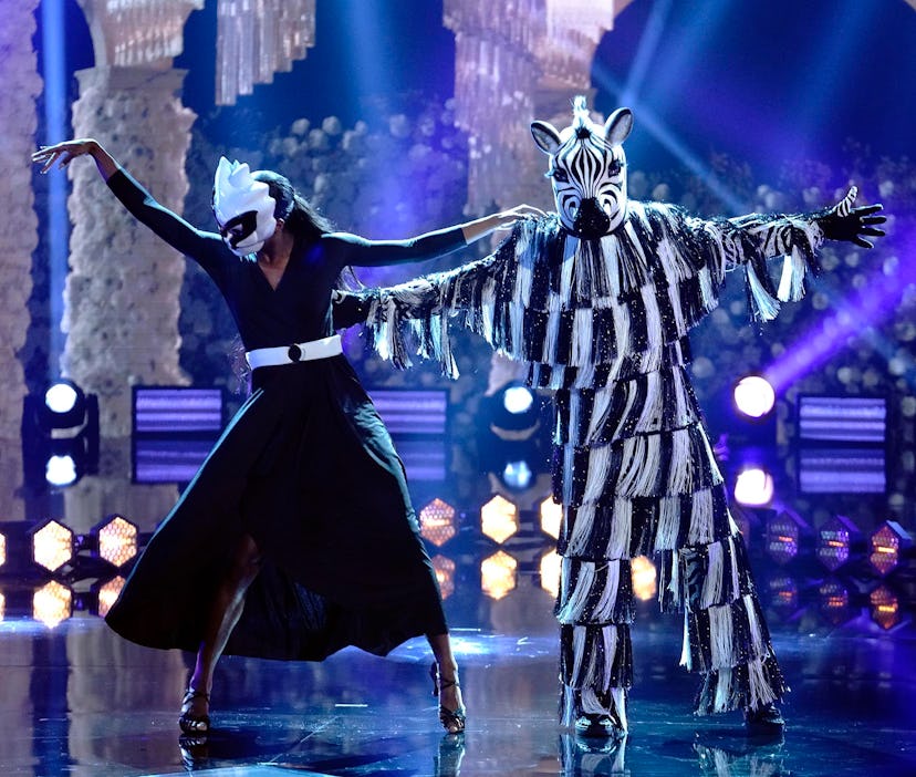 Zebra in 'Masked Dancer' via FOX press site.
