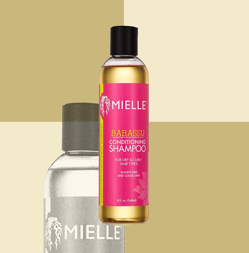 Mielle Organics Babassu Conditioning Shampoo