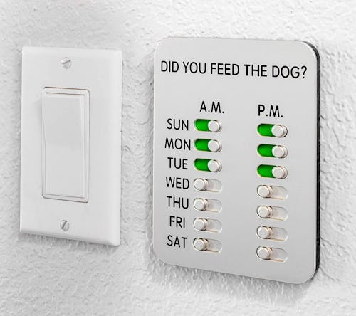 problem solving products DYFTD 'Did You Feed the Dog?' Reminder