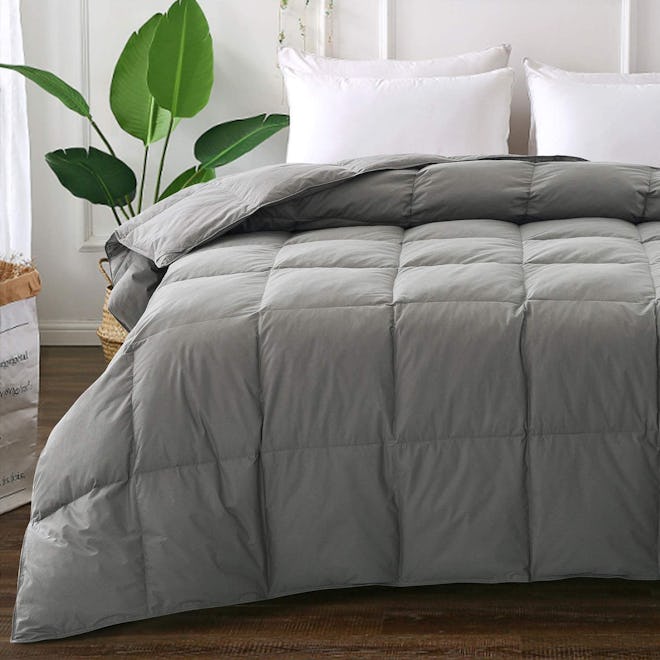 Elnido Queen Down Comforter