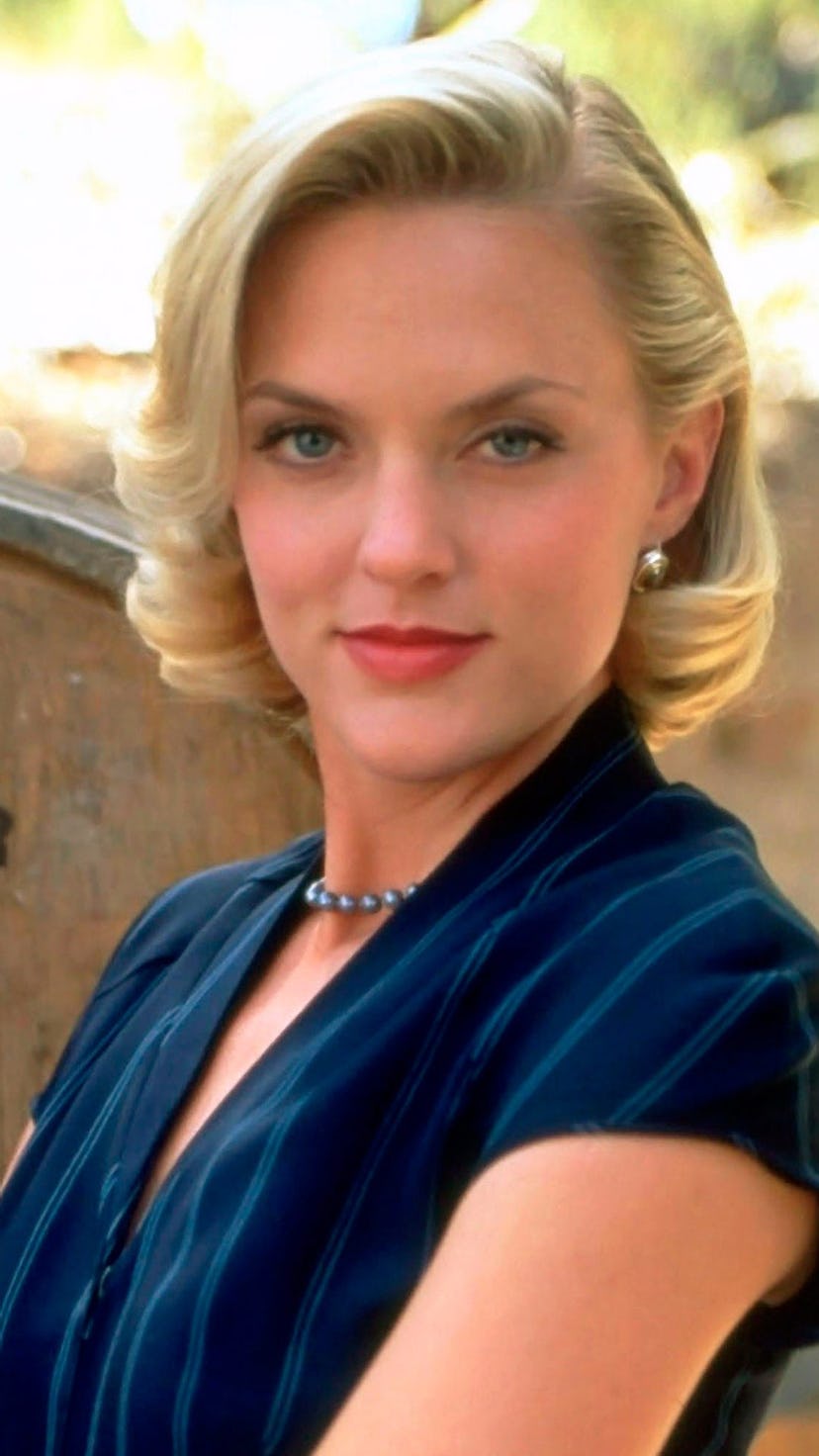 Elaine Hendrix as Meredith Blake in a blue blouse