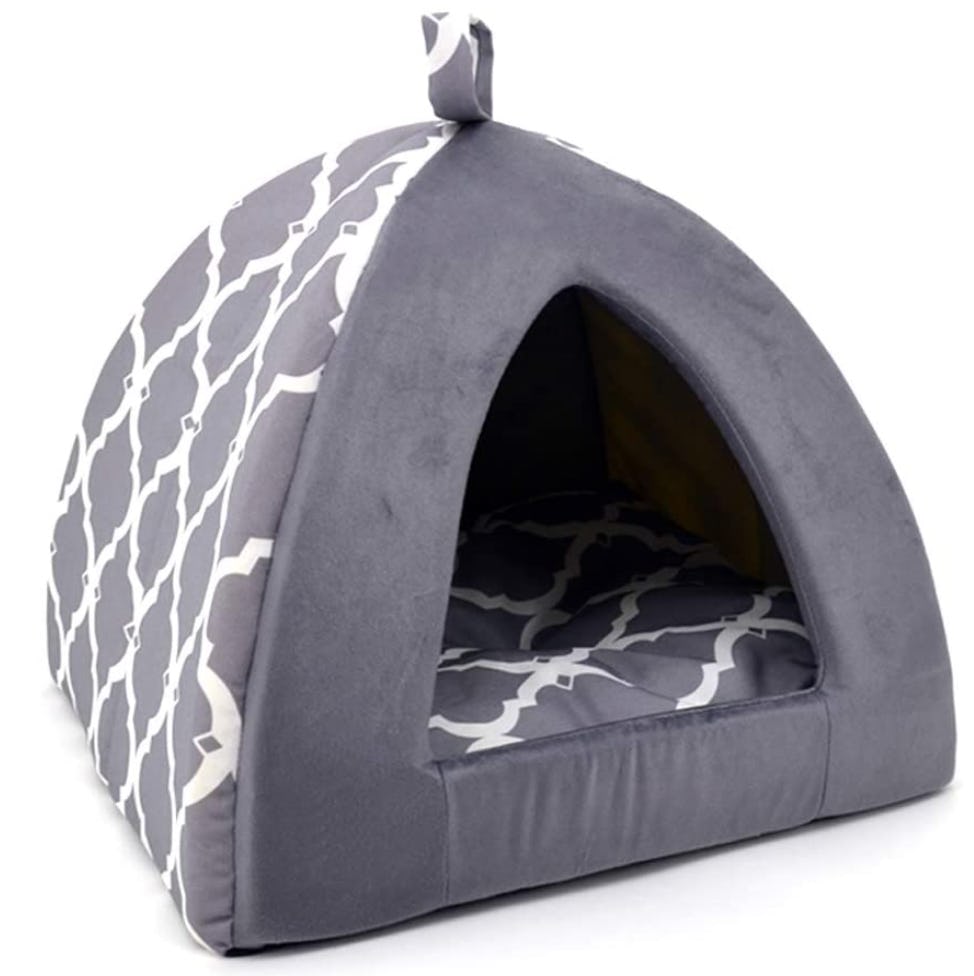 The 5 Best Cat Beds For Older Cats