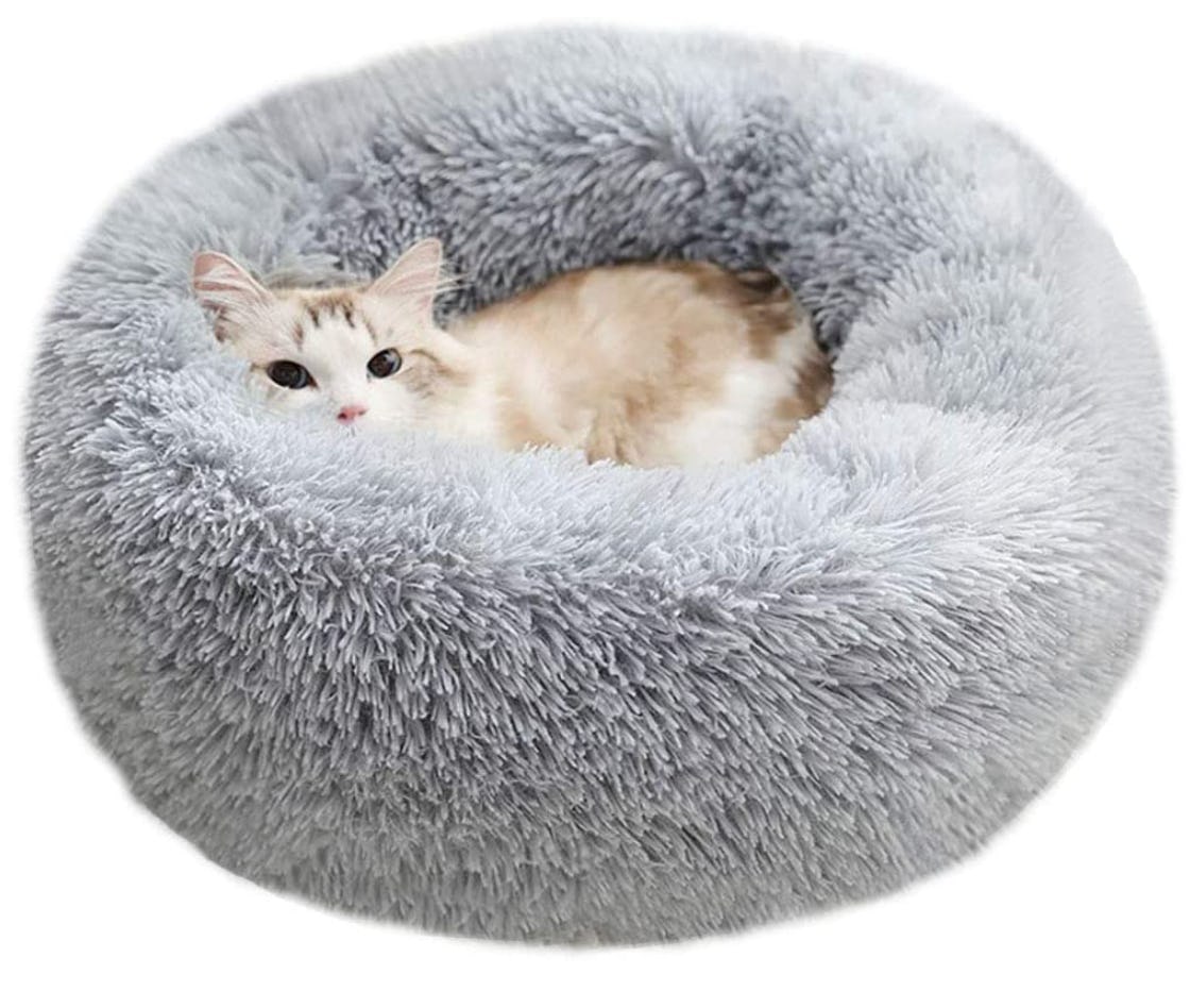The 5 Best Cat Beds For Older Cats