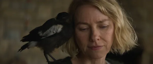 Is 'Penguin Bloom' Based On A True Story? Sam Bloom Had A Tragic Accident