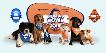 Sonic is offering a free drinks deal in honor of the 2021 Puppy Bowl. 