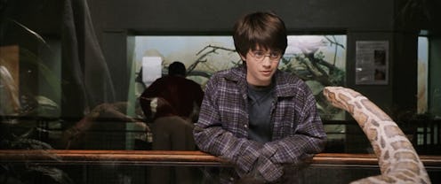 harry potter tv show hbo max