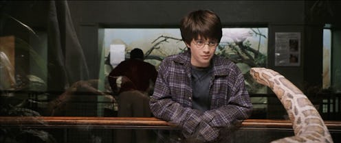 harry potter tv show hbo max