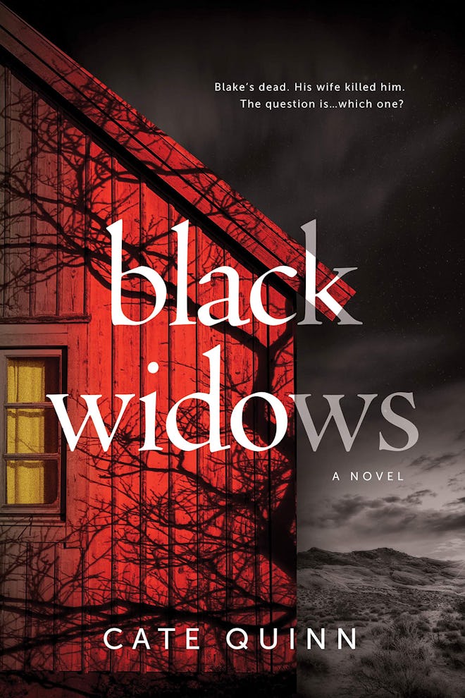 'Black Widows' by Cate Quinn