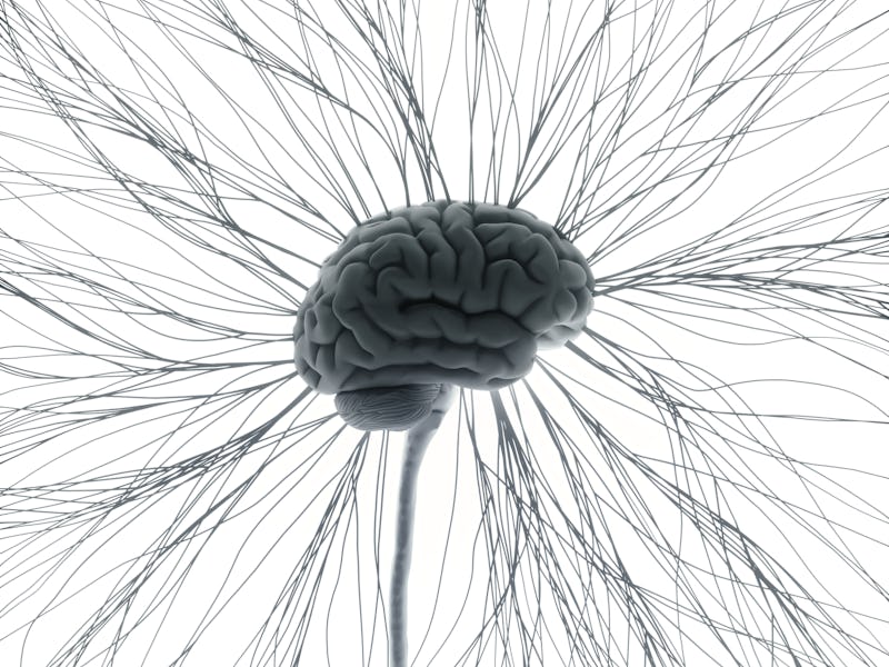 connected brain