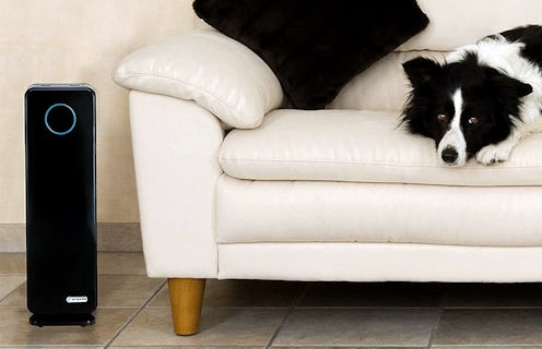 Best UV Air Purifiers