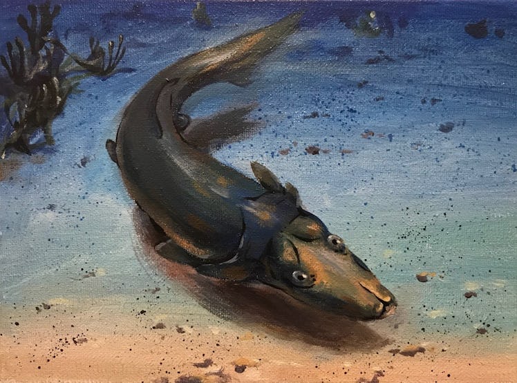 platypus fish art