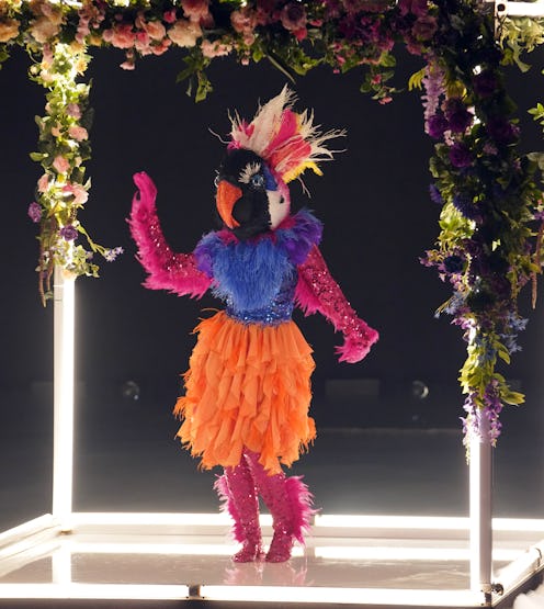 Exotic Bird on 'The Masked Dancer,' via FOX press site.