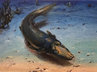 platypus fish art