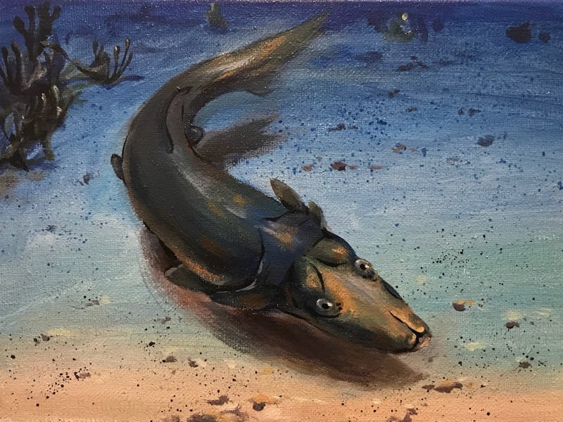 platypus fish art