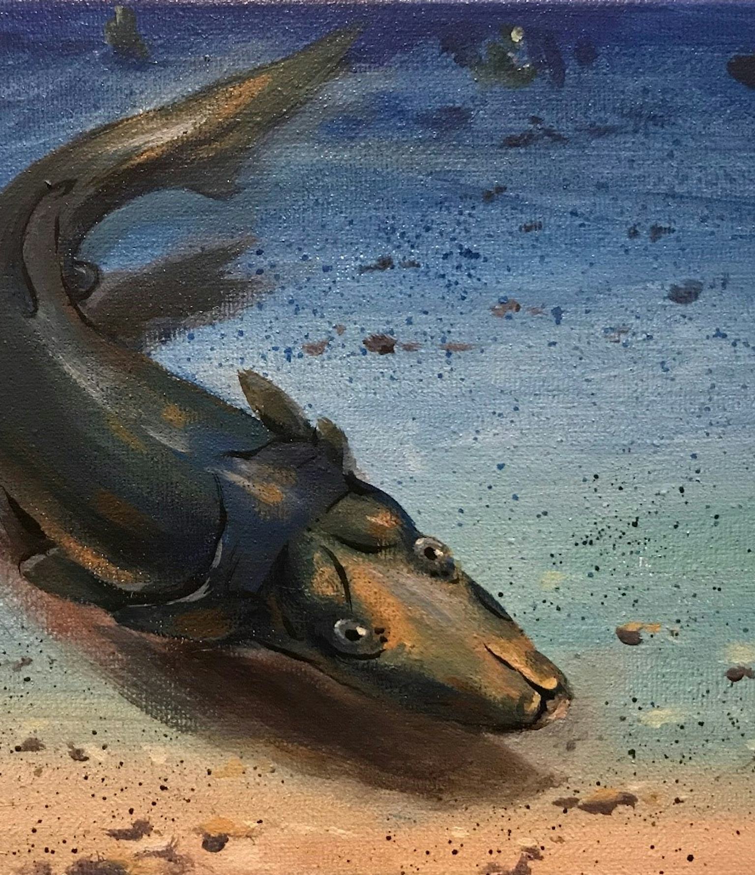 Platypus fish discovery changes what we know about 1 type of evolution Biology Diagrams