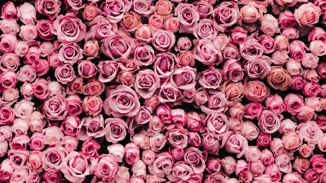 Roses Virtual Background