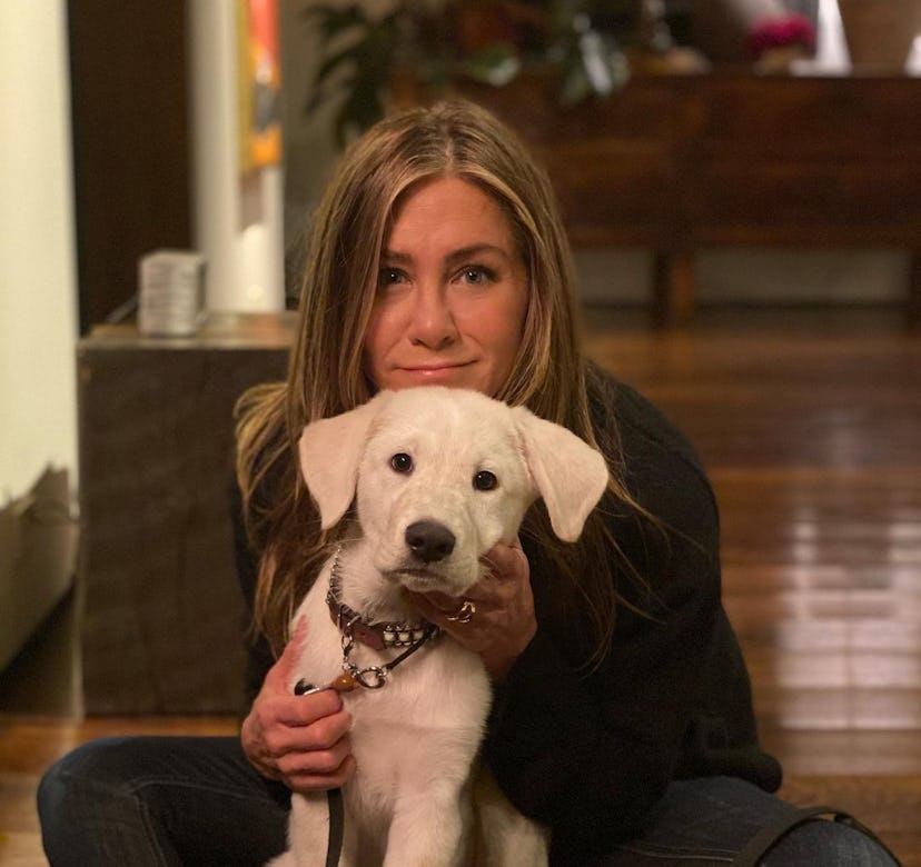 Jennifer Aniston has blonde hair now.