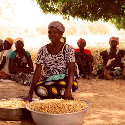 Women in Africa next to the harvested shea butter nuts.