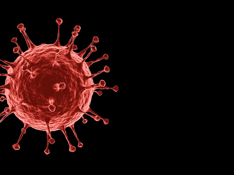 3D rendering Microscopic illustration of the spreading 2019 corona virus or Covid-19 on alpha layer...