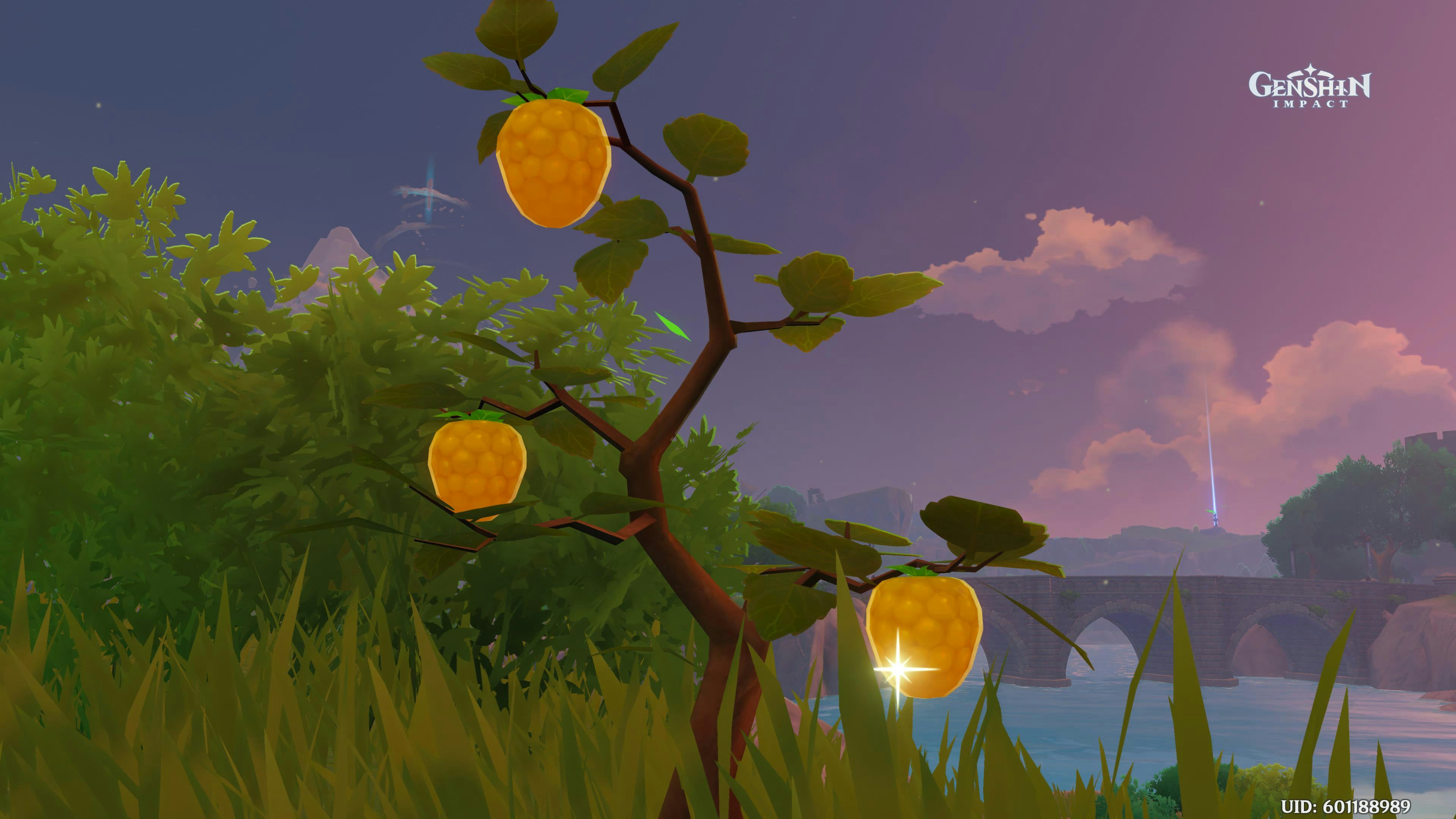 'Genshin Impact' berry locations Where to get them for Marvelous