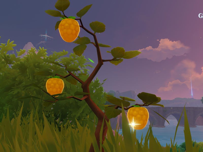 Berries Genshin Impact