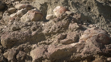 stromatolites found in a dry lakebed during a NASA exercise in Nevada