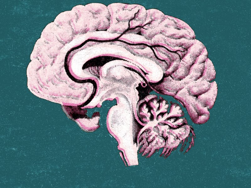 brain illustration