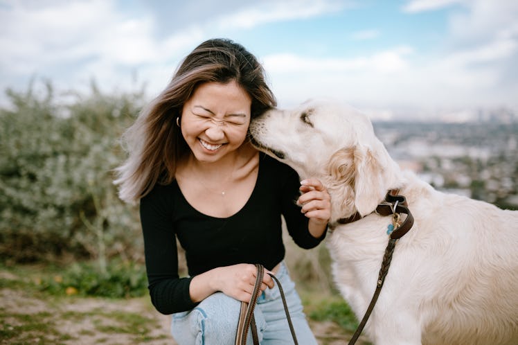 Dog licking female owner's face