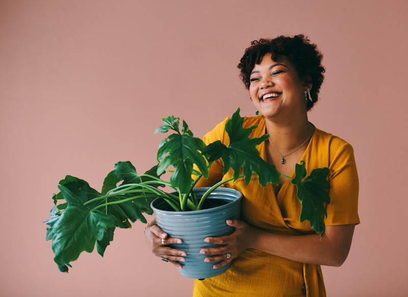 A houseplant brings with it so much joy.