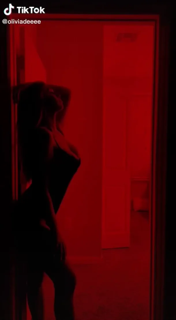 9 Tiktok Silhouette Challenge Videos That Serve Killer Poses