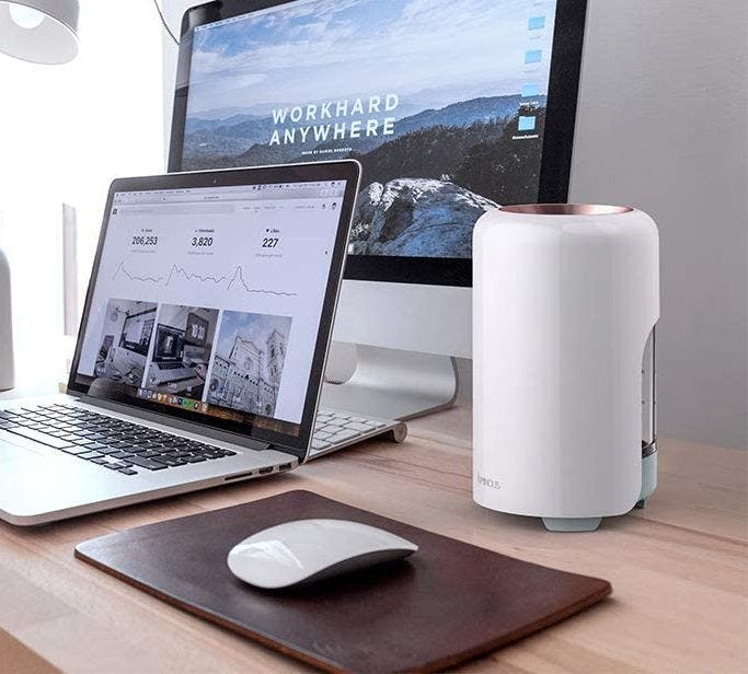 The 6 Best Air Purifier And Humidifier Combos