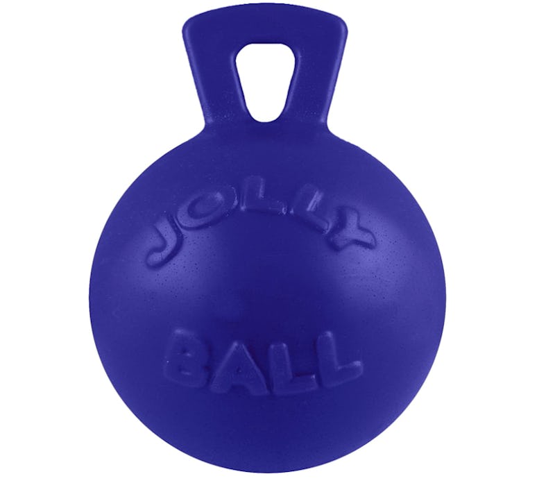 The 8 Best Dog Balls