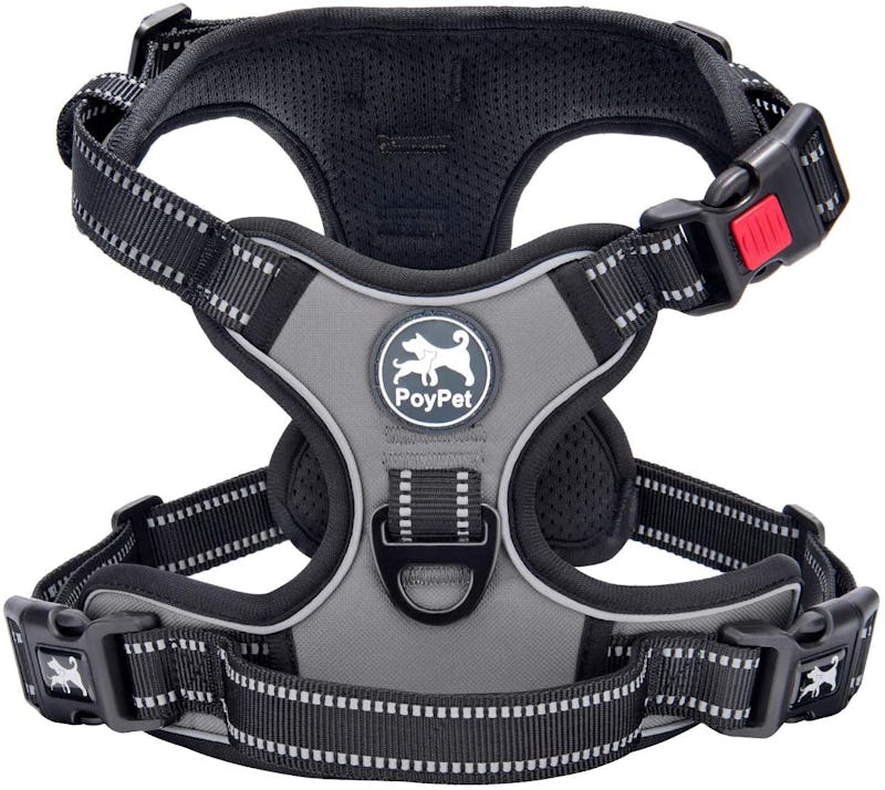 The 3 Best Puppy Harnesses The 3 Best Puppy Harnesses