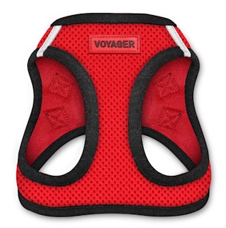 Voyager Step-in Air Dog Harness