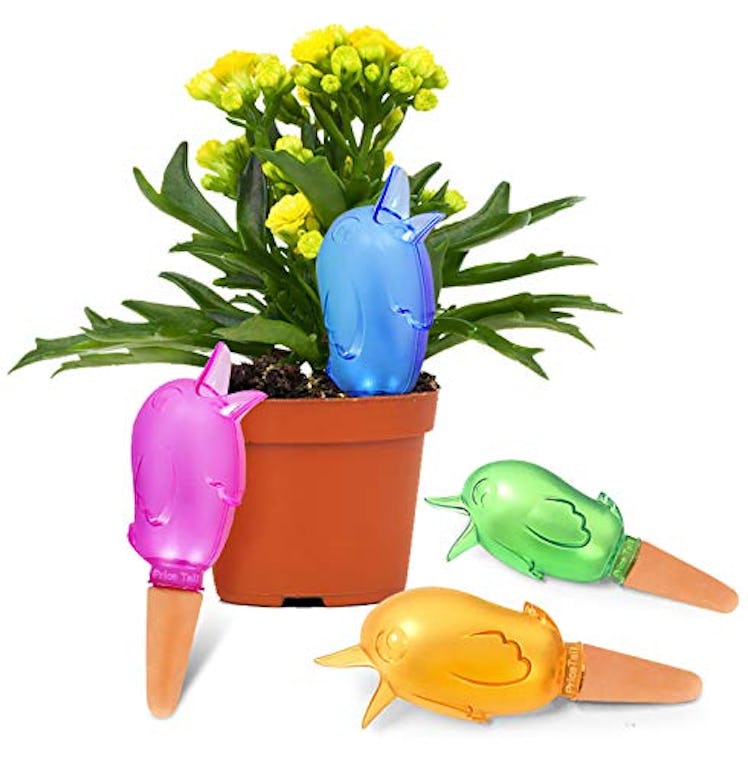 Pricetail Self-Watering Spikes (4-Pack)