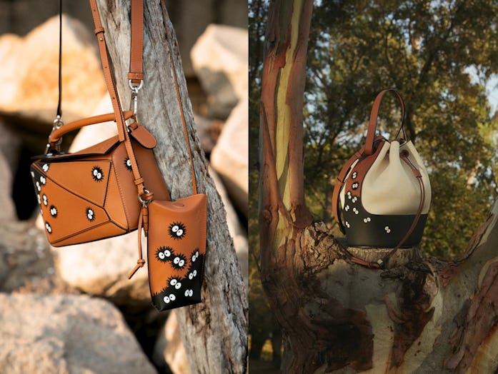 Loewe Totoro Collection