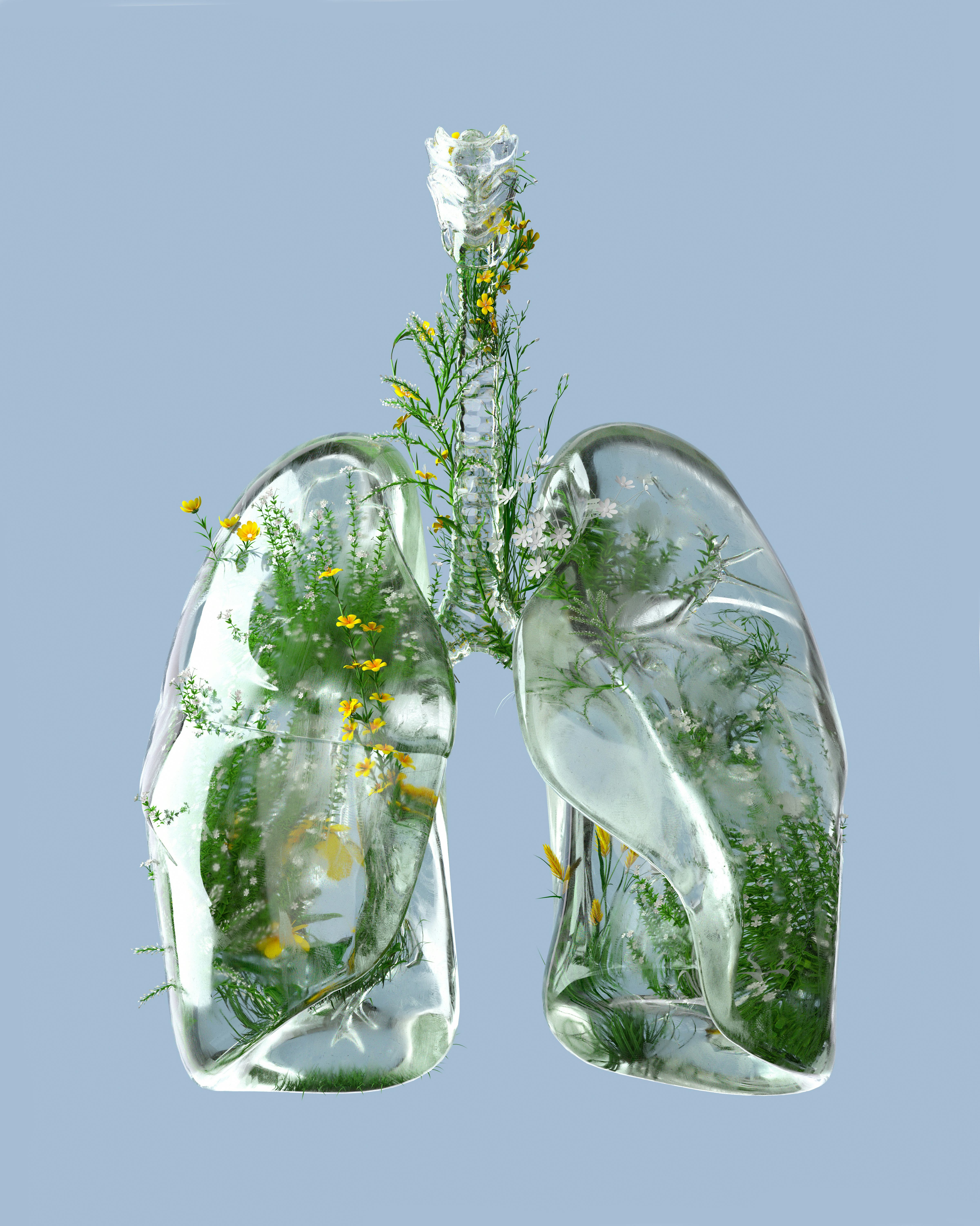 green lungs, clean air, eco-friendly