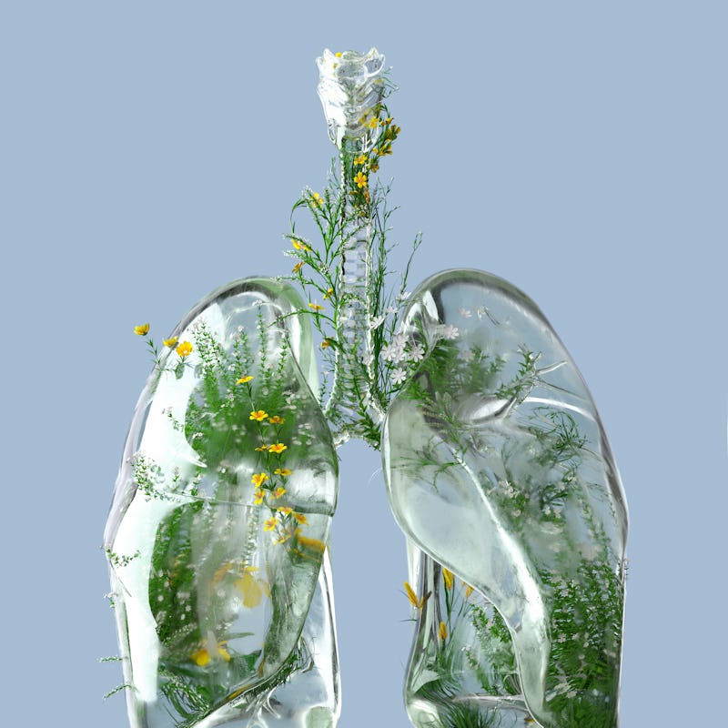 green lungs, clean air, eco-friendly