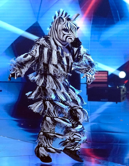 5 Theories About The Zebra On 'Masked Dancer'