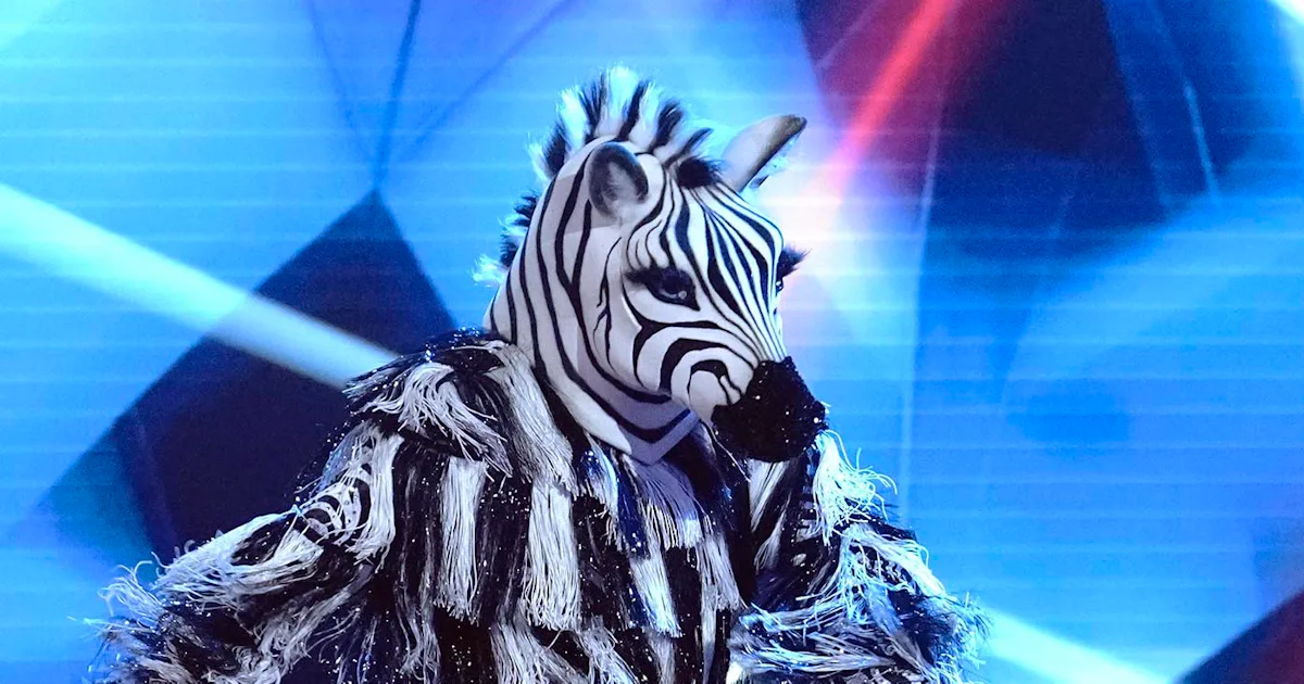 Masked Zebra 5 Theories About The Zebra On 'Masked Dancer'