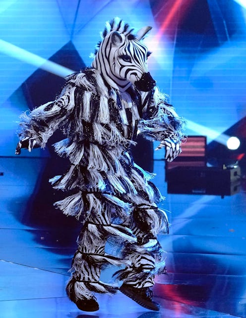 Zebra on 'The Masked Dancer' Season 1 via FoxFlash press site