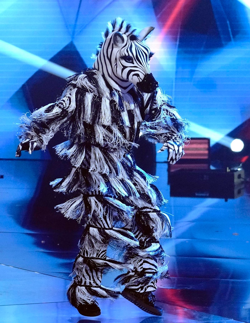 Zebra on 'The Masked Dancer' Season 1 via FoxFlash press site