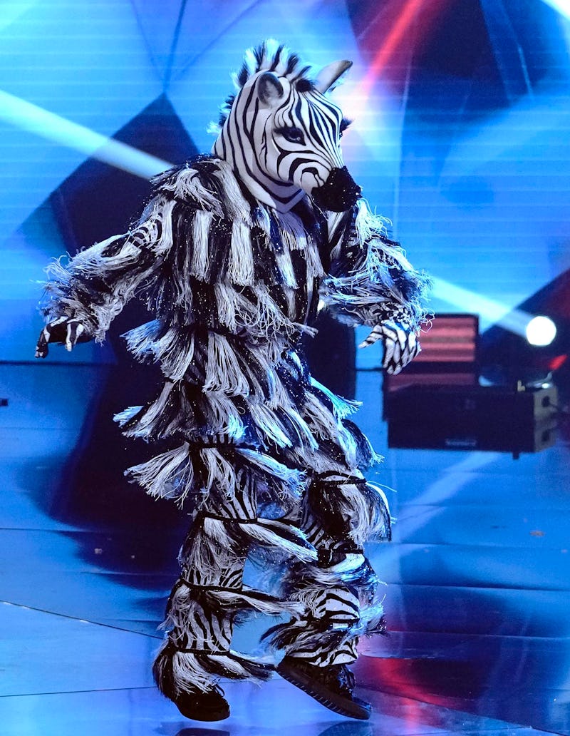 5 Theories About The Zebra On 'Masked Dancer'