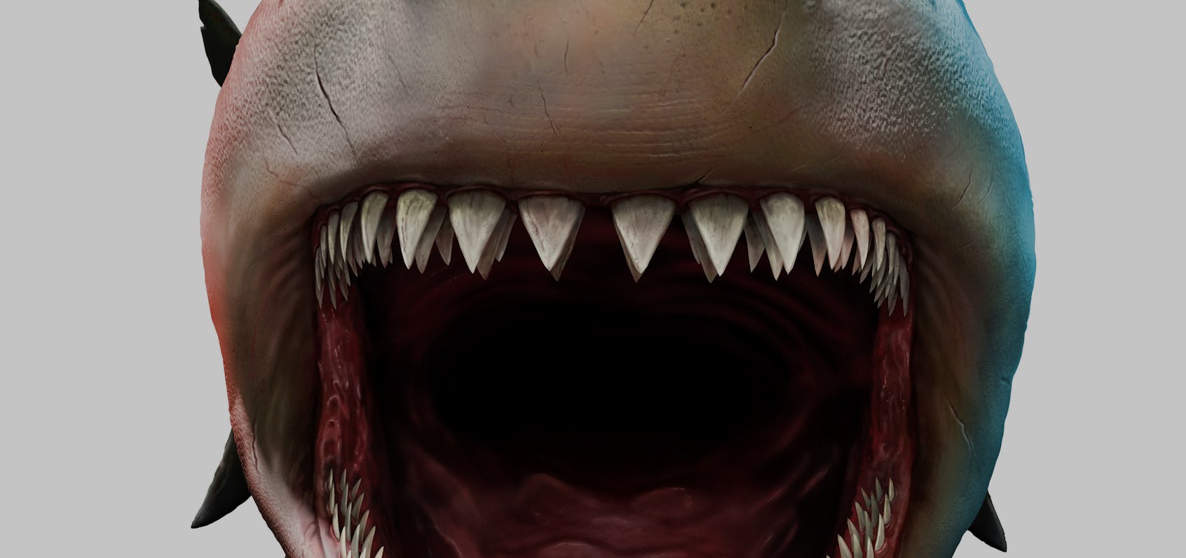 Megalodon: This ancient predator gave birth to babies the size of adult