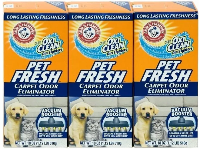 The 5 Best Carpet Deodorizers