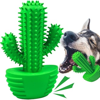 Pamlulu Dog Teeth Cleaning Cactus