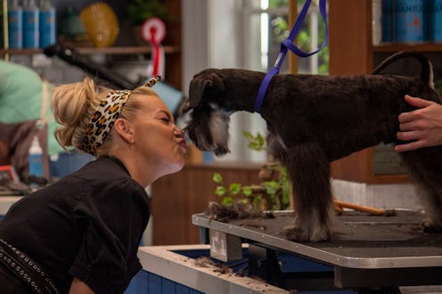 BBC One, 'Pooch Perfect'