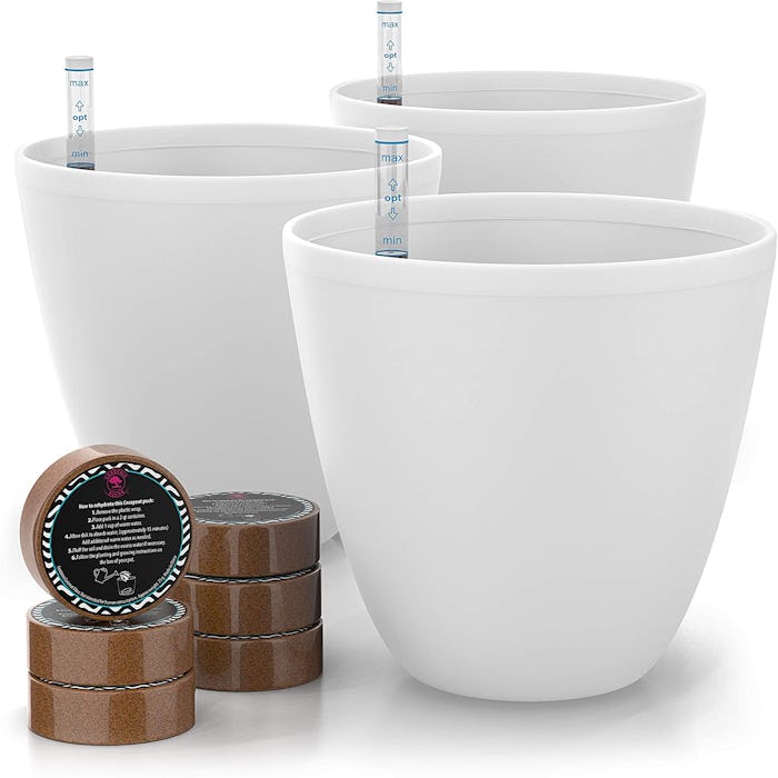 Gardenix Decor Self Watering Planters