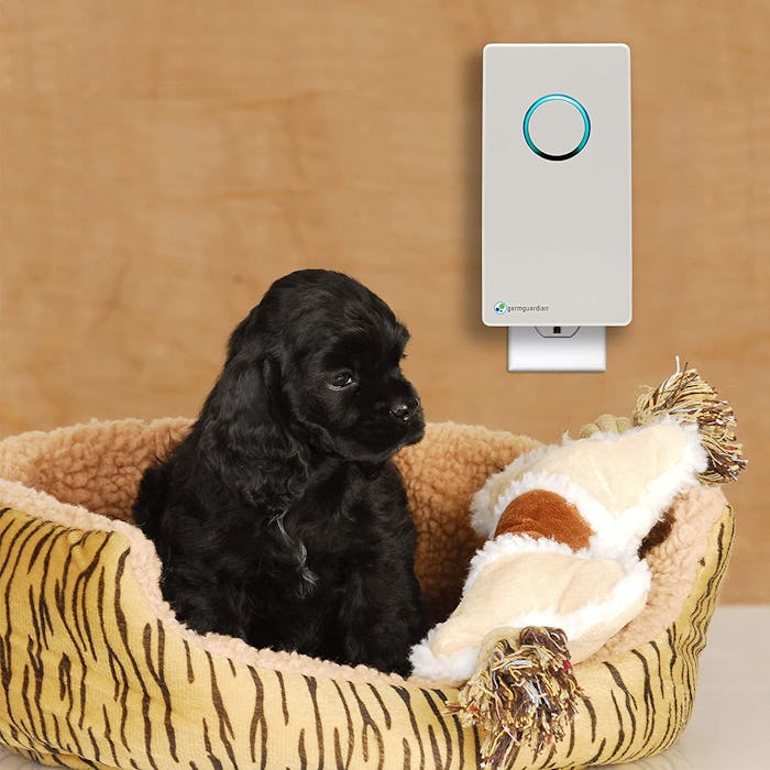 Guardian Technologies Pluggable Sanitizer and Deodorizer