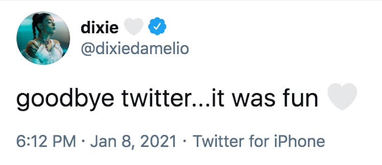 Why did Dixie D'Amelio leave Twitter? This is what fans believe.